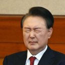 보다 이미지