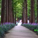 문흥 북구노인복지센터 이미지