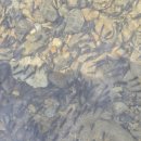 가곡면 탕곡리 마을회관 이미지