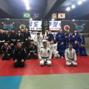 팀타이런트 유도 이미지