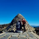 백양산막걸리 이미지