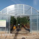 손해평가사 1차 - 재배학 및 원예작물학 이미지