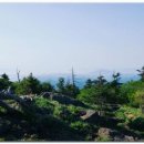 노고단-15 이미지