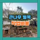행림빌딩 | 수원 빌딩 화단 큰나무 벌목 비용