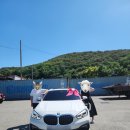 8천키로 타보고 쓰는 내돈내산 BMW 120i sports 후기