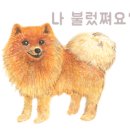 개진주유소 네이버블로그