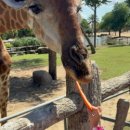 오션 게임랜드 이미지