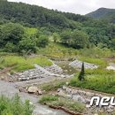 삼기천1 뉴스1