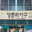 양촌리아구 이미지