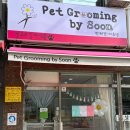 펫그루밍바이순 이미지