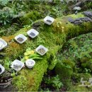 (주)차차미 이미지