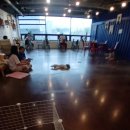 애견카페&호텔 댕댕당 이미지