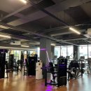 Y휘트니스 이미지