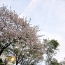 대우일렉서비스(주)대구센터 | 4/17 오늘의 주요 뉴스