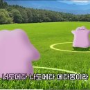 송간목장 이미지