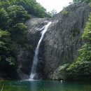 농협원대동 이미지