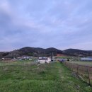 철성농장 이미지