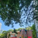 해뜨는유치원 이미지