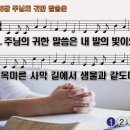 찬송가 206장 주님의 귀한 말씀은 Lamp of our feet, whereby we trace 반주 찬송가PPT NWC악보 이미지