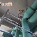 부산냉동 네이버블로그