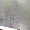 방축리편의점 이미지