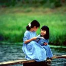 하얀민들레 이미지