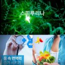 웰빙시대 네이버블로그