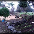 월랑농장 이미지