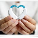 양이양이 이미지