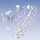 성진메드 이미지