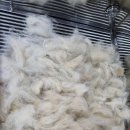 개신남3호점 이미지