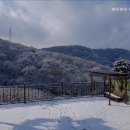 바우바우애견펜션 이미지