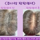 큐사랑우아동