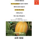 정용농장 이미지