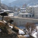 고한초등학교 이미지