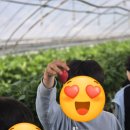 충효농장 이미지