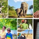 (주)블루관광여행사 이미지