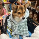 노브랜드 인천당하점 | 독정역 노브랜드 '노브랜드 인천당하점' 후기 노브랜드 추천템