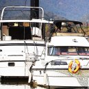 부산레포츠 이미지