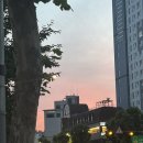 덴탈라이즈 이미지