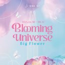 비블루밍 네이버블로그