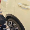 신영타이어 이미지