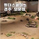 경주축구공원주차장 | 경주 아이랑 가기 좋은 실내 놀거리 원더스페이스 경주 보문 솔직 후기