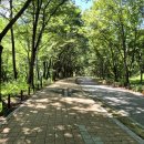 동원펜션민박 이미지