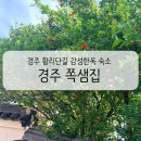 쪽샘집 | 경주펜션 쪽샘지구 숙소 후기 황리단길도 걸어서 가능한 감성한옥 쪽샘집