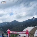 홍지농장 | [하동 축제정보] 제10회 하동북천 꽃양귀비축제