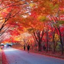 필례 게르마늄 온천 이미지