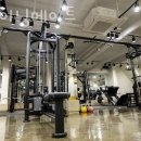 트레이닝 메이트 이미지