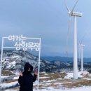 삼양세차장 이미지