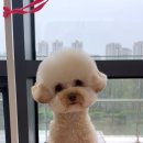 쓰리빈 이미지